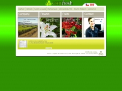 Chilfresh