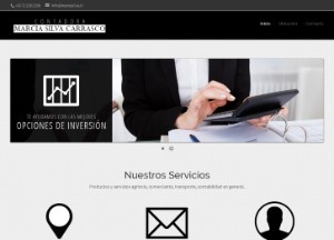 Contadora Marcia Silva Carrasco