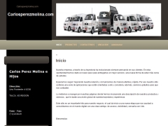 Carlosperezmolina.com