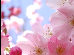 Centro de Estética Siluet