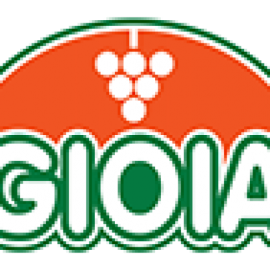 Comercial Prontoexport Ltda.