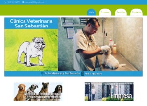 Clínica Veterinaria San Sebastián