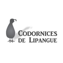 Centro de Eventos Codornices de Lipangue