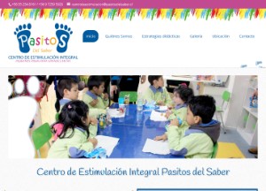 Centro de Estimulación Integral Pasitos del Saber