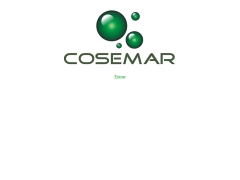 COSEMAR SERVICIOS INDUSTRIALES S.A