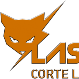 COMERCIAL Y SERVICIOS LASERCAT SPA