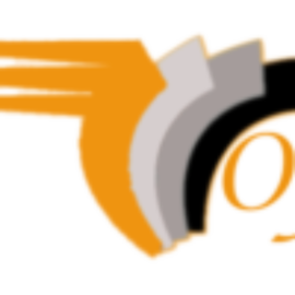 COMERCIAL OFFICHILE SPA