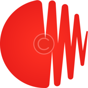 COMERCIALIZADORA FEEDBACK MUSIC LIMITADA