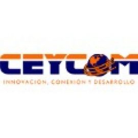 COMPUTACION ELECTRONICA Y COMUNICACIONES LIMITADA