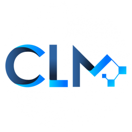 CLM CONSULTORES LIMITADA