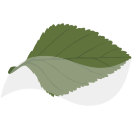 CENTRO DE ESTUDIO Y CONSERVACION DEL PATRIMONIO NATURAL, CECPAN