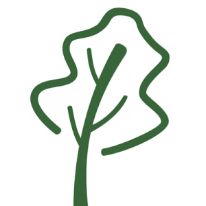 COMERCIAL IL BOSCO SPA