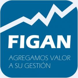 CAPACITACION FIGAN LTDA