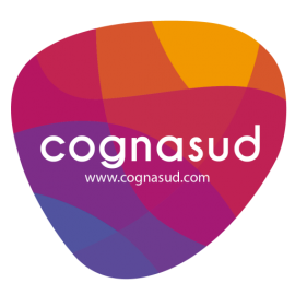 COGNASUD CONSULTORES LIMITADA
