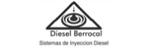 Diesel Berrocal