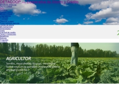 Detacoop Ltda.