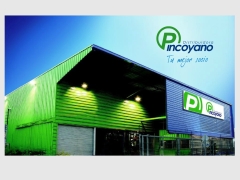 Distribuidora Pincoyano