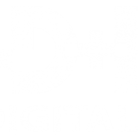 Digital Ingeniería