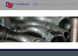 DSF Hydraulic y Grúas Horquillas