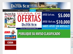 DEL SUR EDITORES LIMITADA