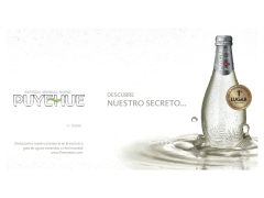 Embotelladora Agua Mineral Puyehue