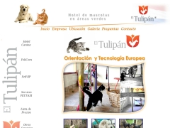 El Tulipán