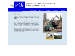 Empresa de Servicios Transitorios Carlos Guzmán E.I.R.L.