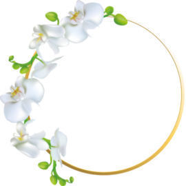 Evelyn Carolina Diaz Benavides