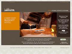 EMPRESA HOTELERA SERGIO ELGUETA VARGAS E I R L