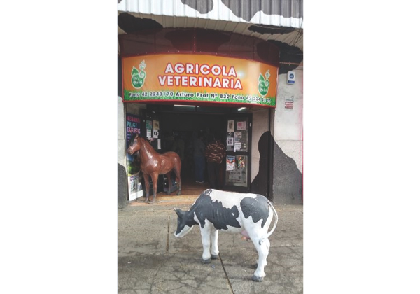 Farmacia Veterinaria Dr. Quiti