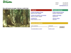 Forestal Diguillín S.A.