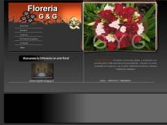 Florería G y G