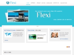 Flexi Express Limitada