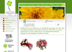 Flores Rostros Nuevos