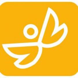 Fund Carolina Labra Riquelme