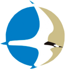 Fundacion Para La Sustentabilidad Del Gaviotin Chico