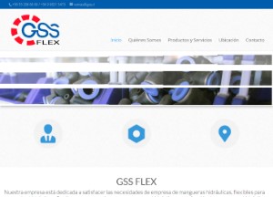GSS Flex