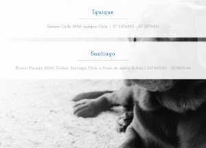 Hospital Veterinario Zoomundo