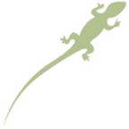 Hotel Awasi -Tailor Made