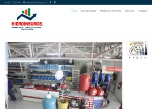 Hidroinsumos Constitución