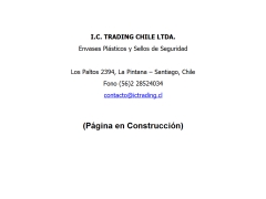 I C Trading Chile Ltda.