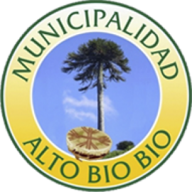 I. Municipalidad de Alto Bío-Bío