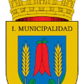 I. Municipalidad de Los Sauces