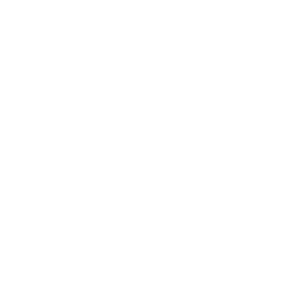 Ingenieria y Construccion Leonardo Gazmuri S.