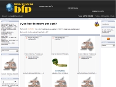 Importadora Bfp Ltda.