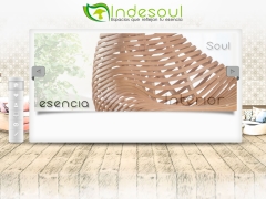 Indesoul