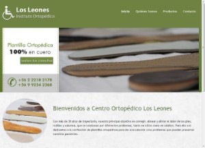 Instituto Ortopedico los Leones