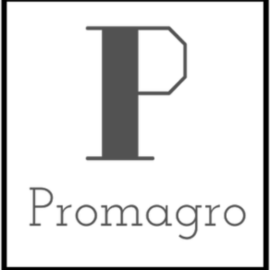 INVERSIONES CARRERA Y COMPANIA LIMITADA