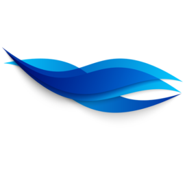 IMPORTADORA Y EXPORTADORA VIENTO DEL SUR S.A.