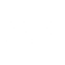 INVERSIONES OMEGA CHILE SPA